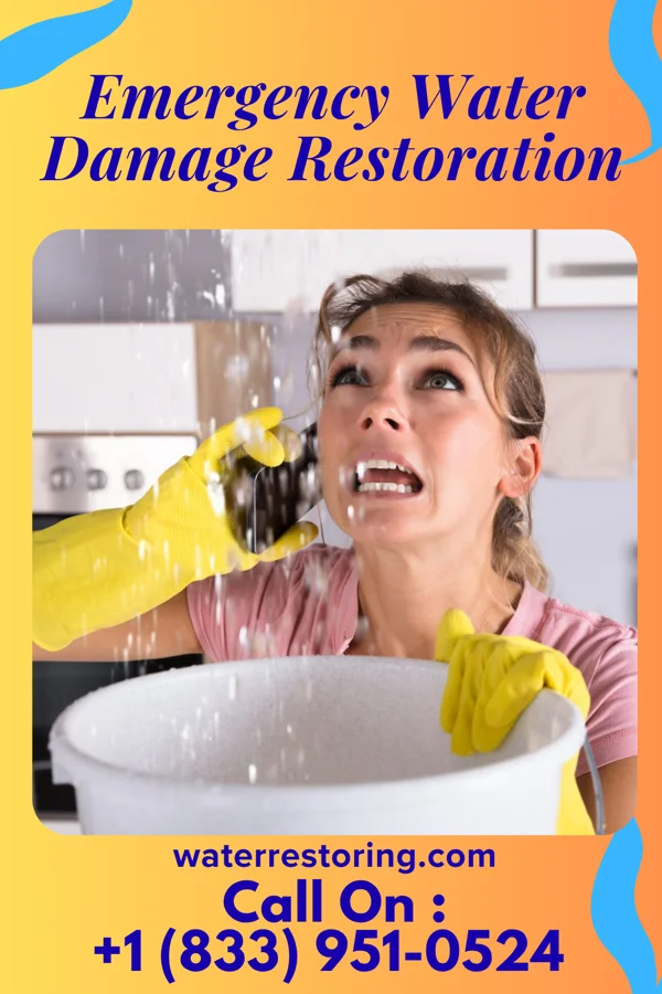 Emergency Water Damage Restoration in Pumpkin Center, NC