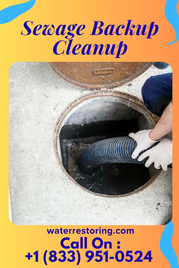 Sewage Backup Cleanup in Pumpkin Center, NC