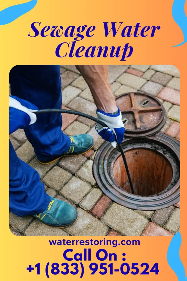 Sewage Water Cleanup in Pumpkin Center, NC