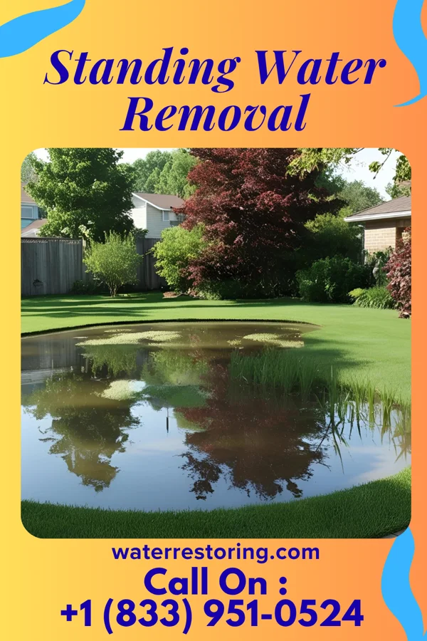Standing Water Removal in Pumpkin Center, NC